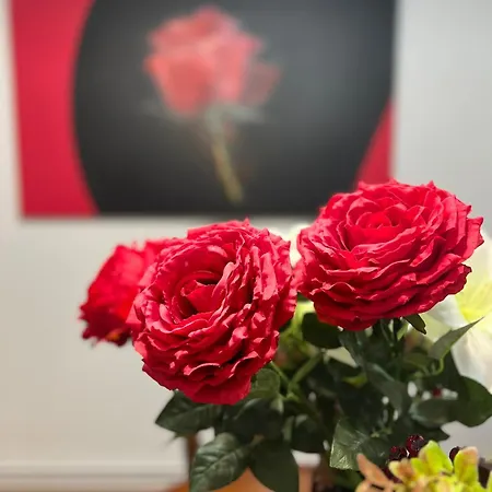 Apartmán Amplio Y Centrico Piso Con Patio. A Coruña